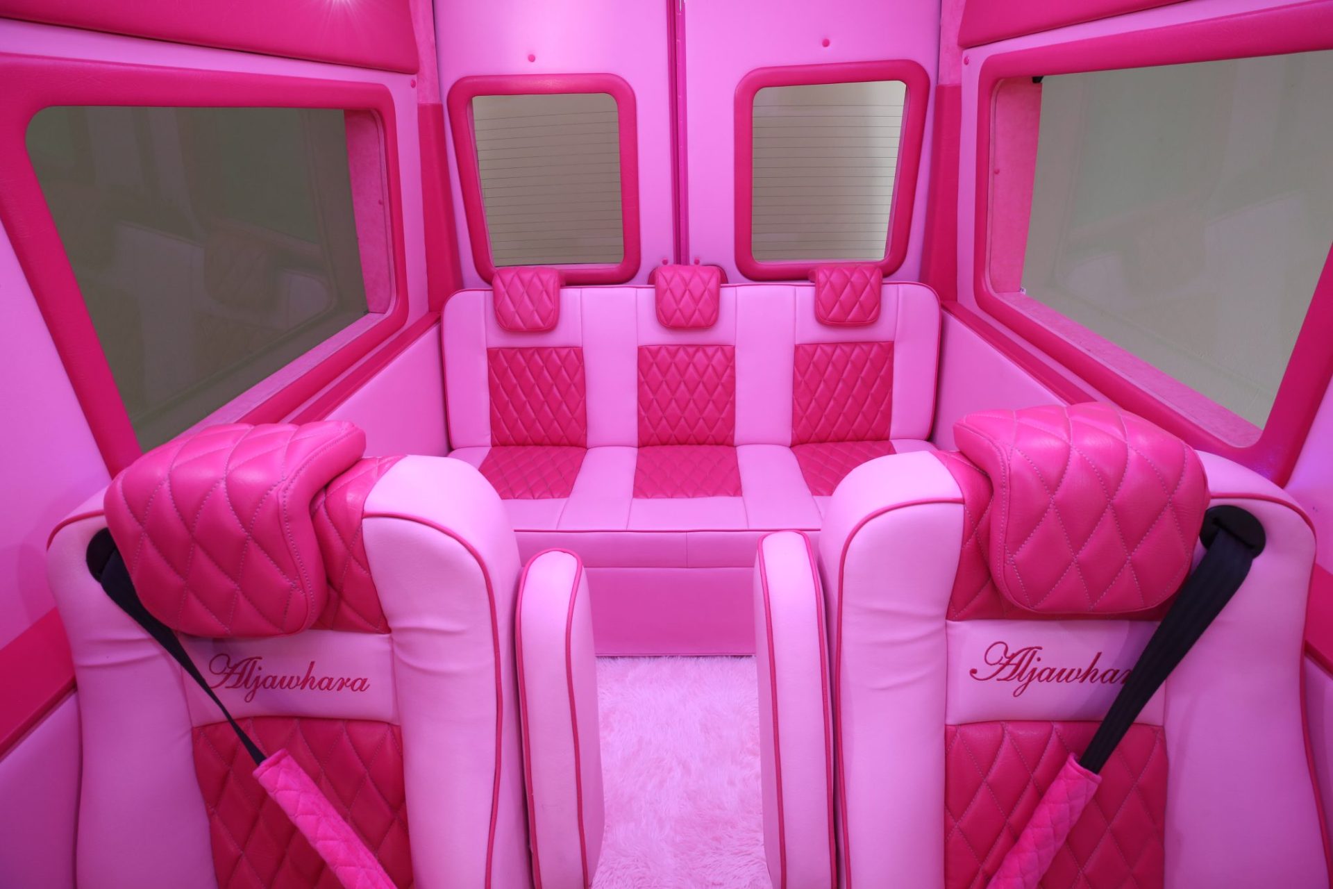 Custom Pink Mercedes Benz Sprinter Van - Interior Photo #3