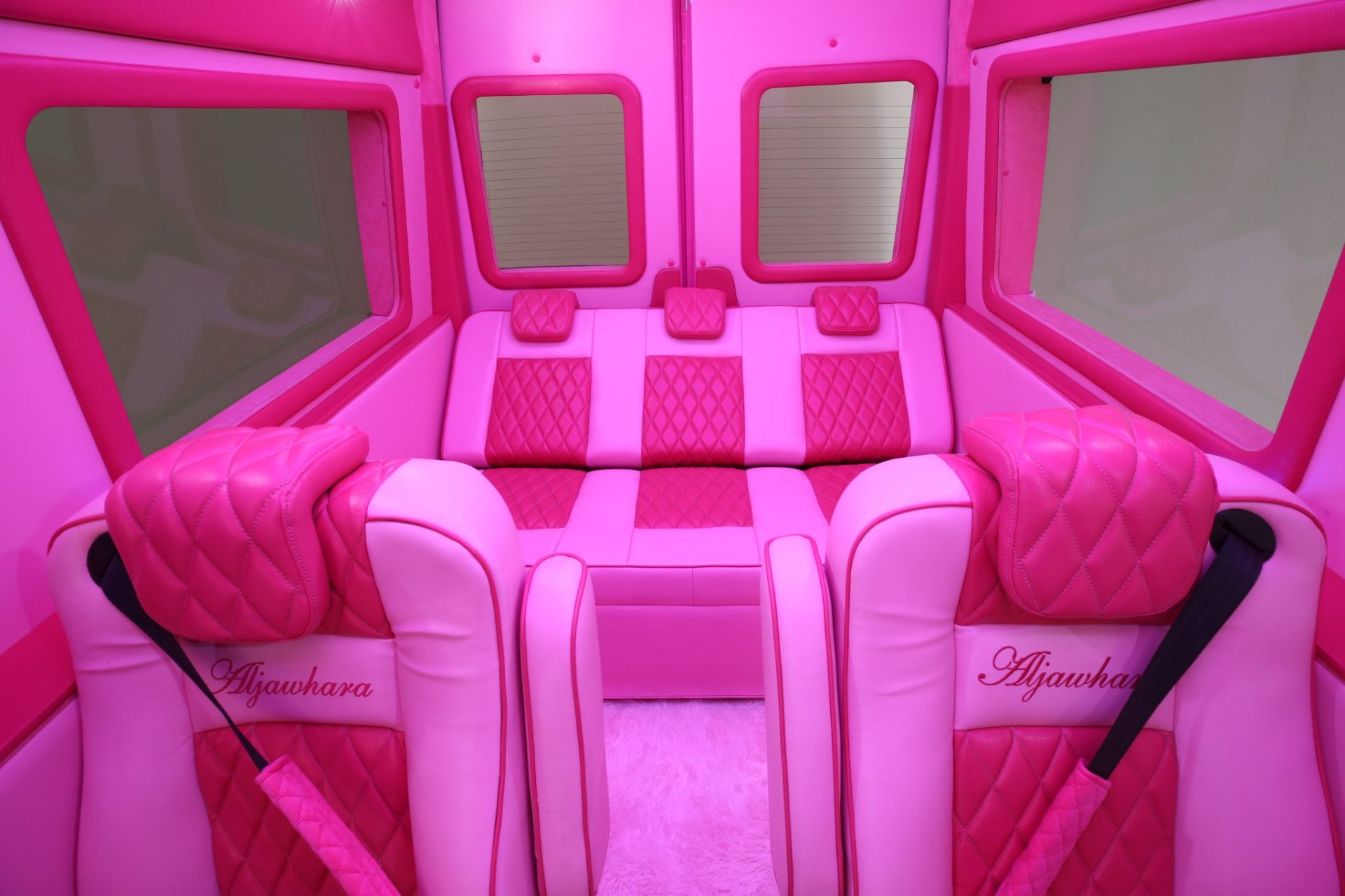 Custom Pink Mercedes Benz Sprinter Van - Interior Photo #4