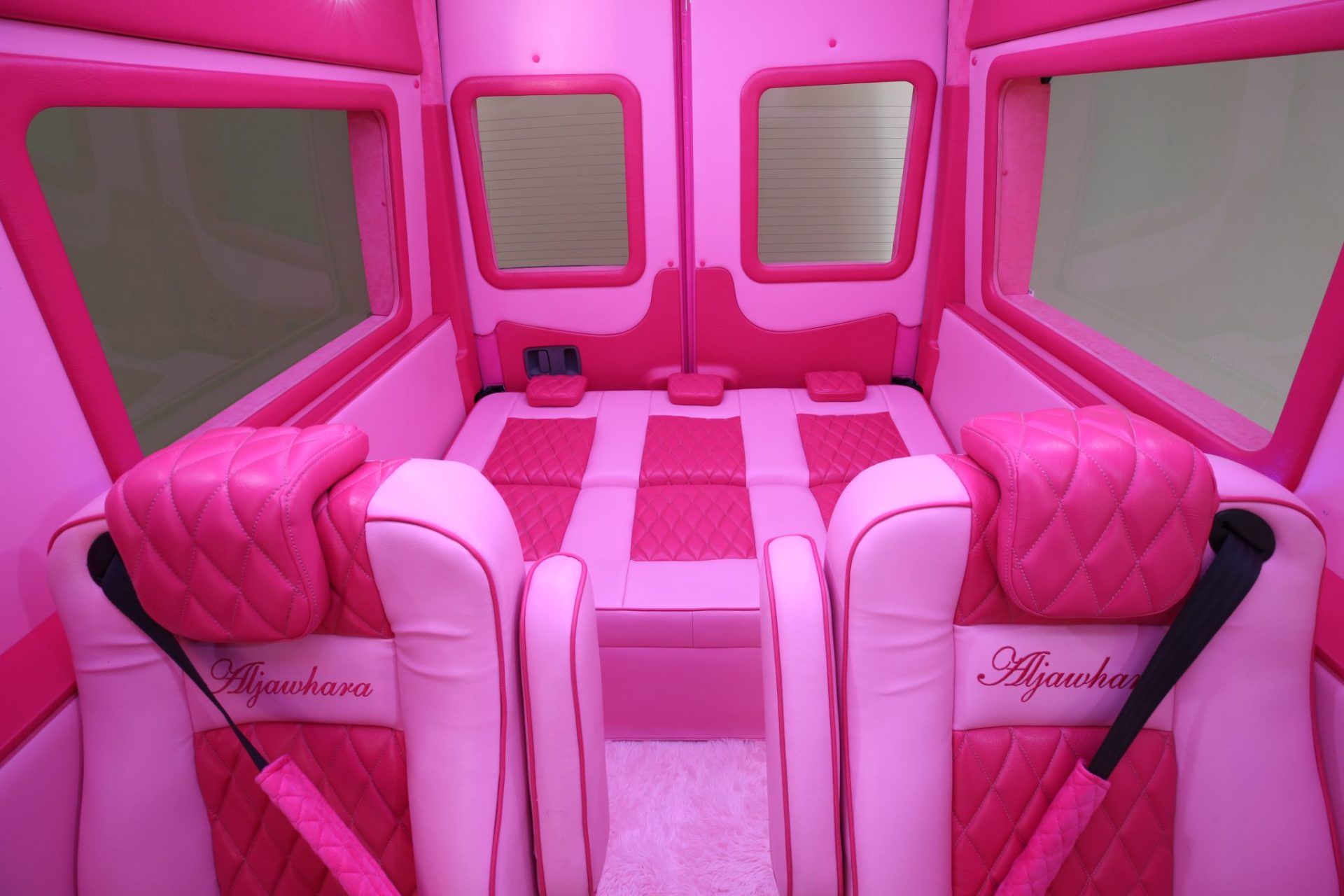 Custom Pink Mercedes Benz Sprinter Van - Interior Photo #5
