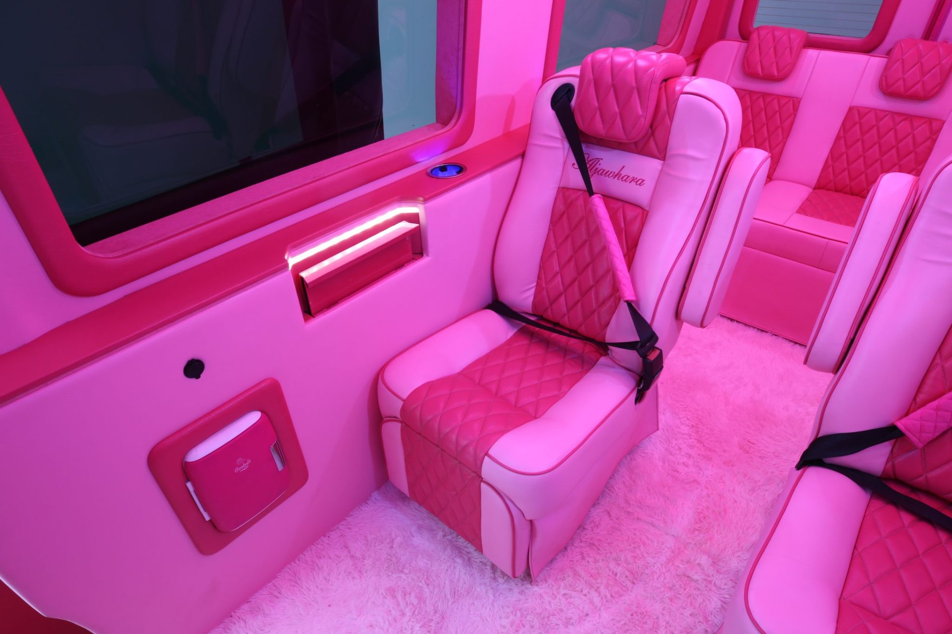 Custom Pink Mercedes Benz Sprinter Van - Interior Photo #6