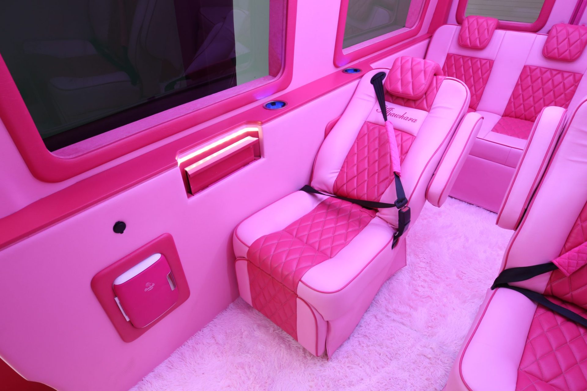 Custom Pink Mercedes Benz Sprinter Van - Interior Photo #7