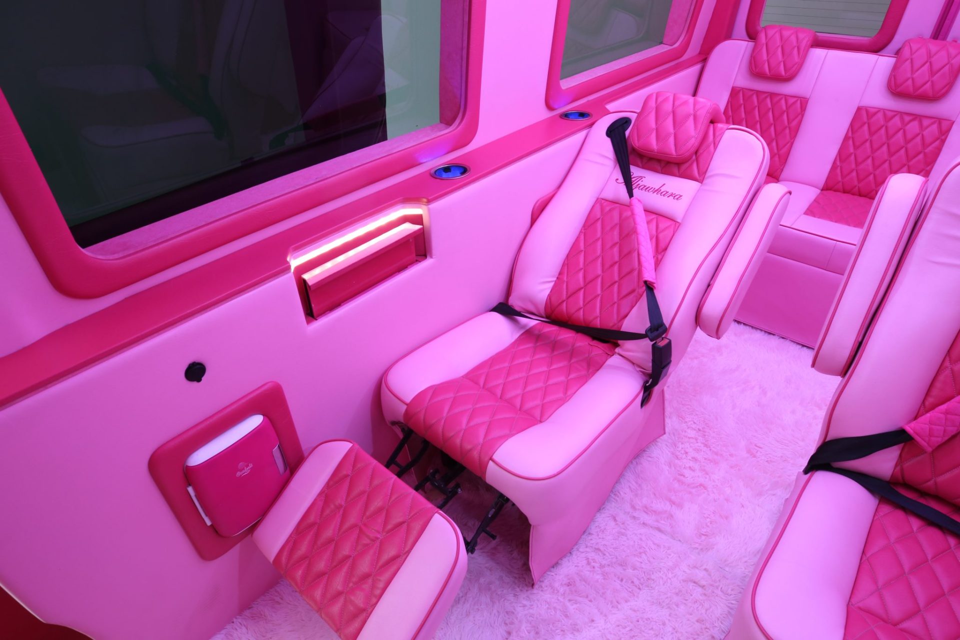 Custom Pink Mercedes Benz Sprinter Van - Interior Photo #8