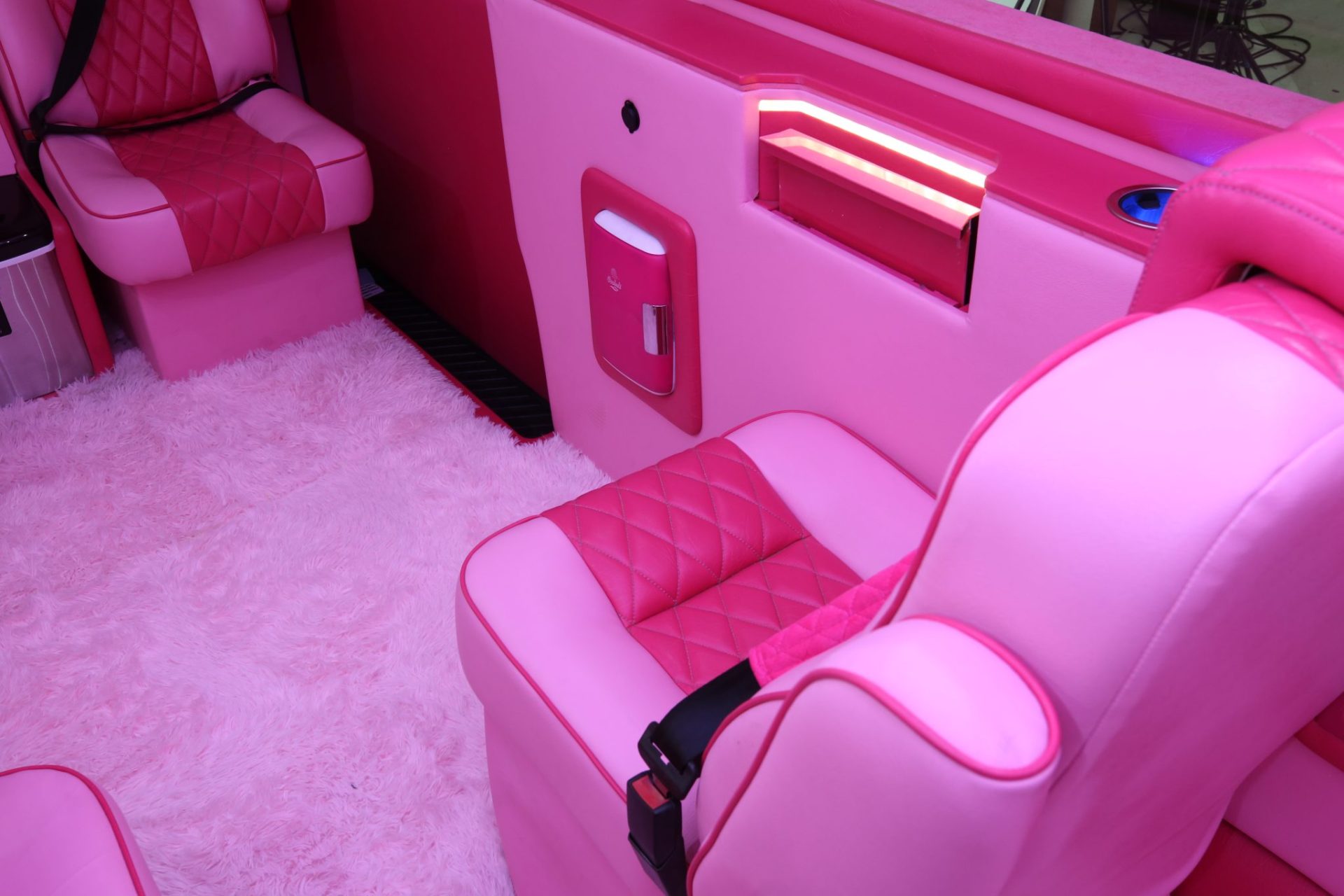 Custom Pink Mercedes Benz Sprinter Van - Interior Photo #11
