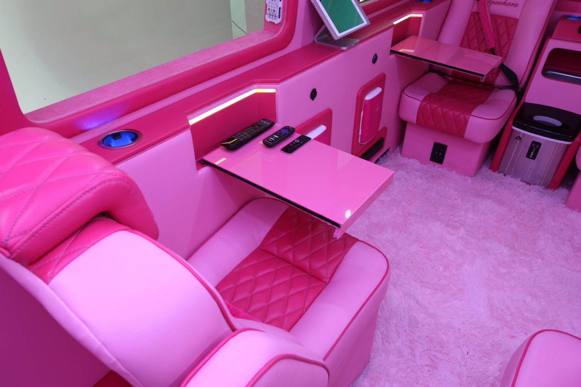 Custom Pink Mercedes Benz Sprinter Van - Interior Photo #12