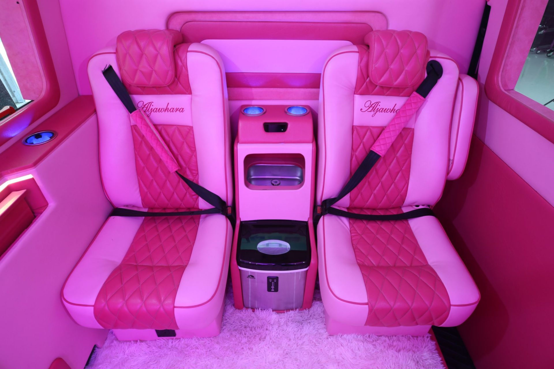 Custom Pink Mercedes Benz Sprinter Van - Interior Photo #13