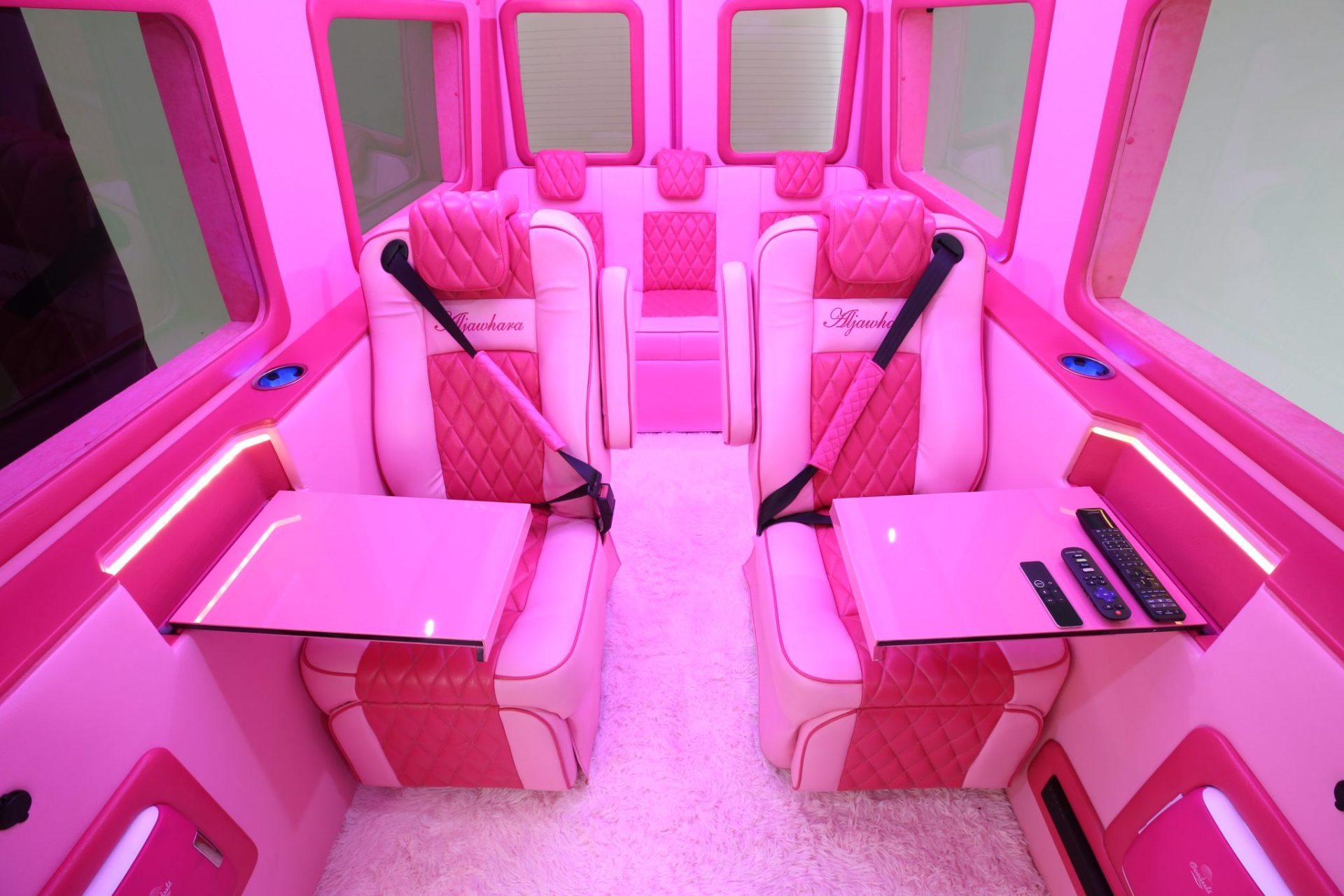 Custom Pink Mercedes Benz Sprinter Van - Interior Photo #14