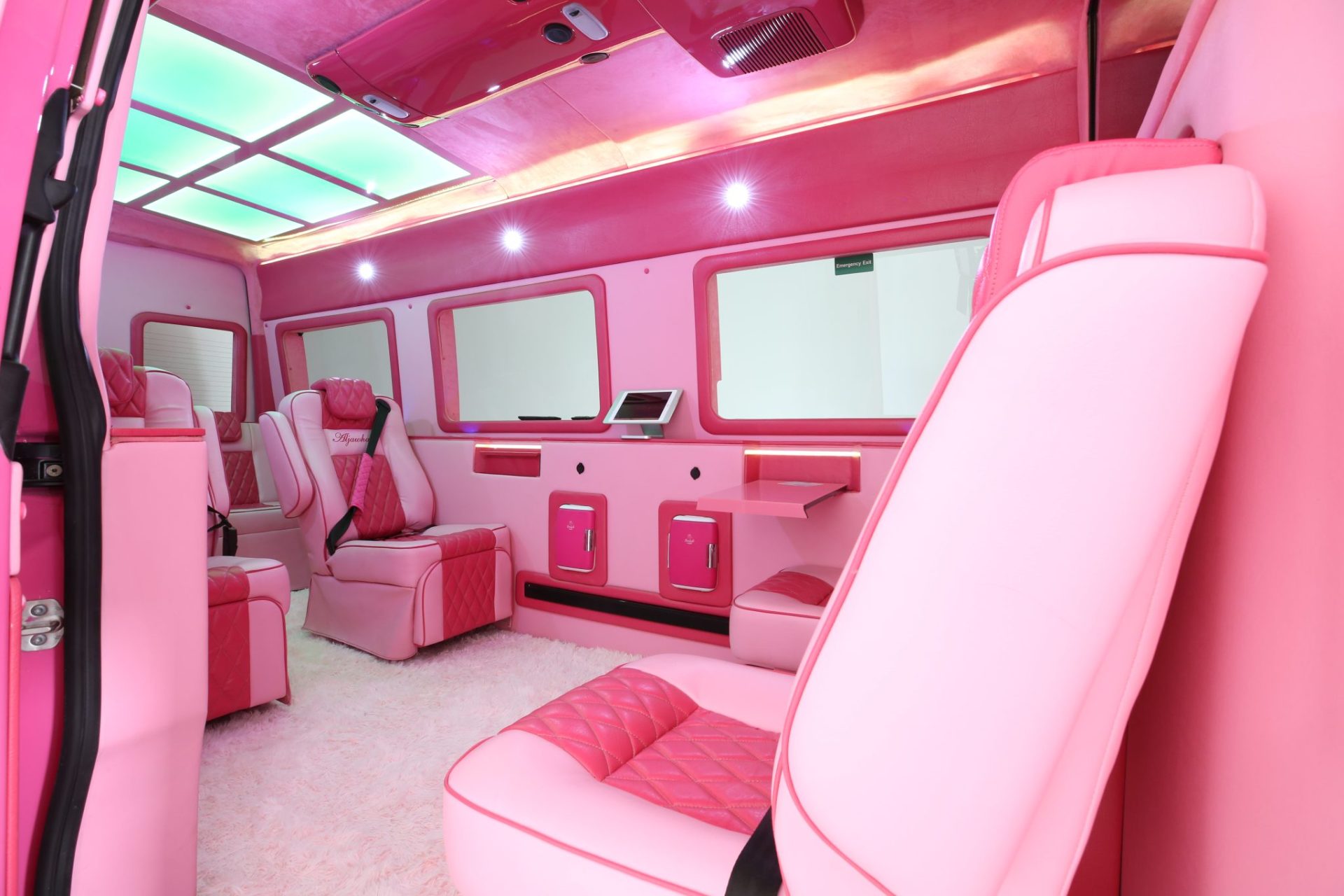 Custom Pink Mercedes Benz Sprinter Van - Interior Photo #16